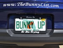 Bunny Up!