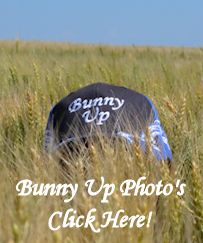 Bunny Up Photo's